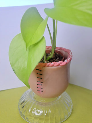 Mini creepy handmade flowerpot